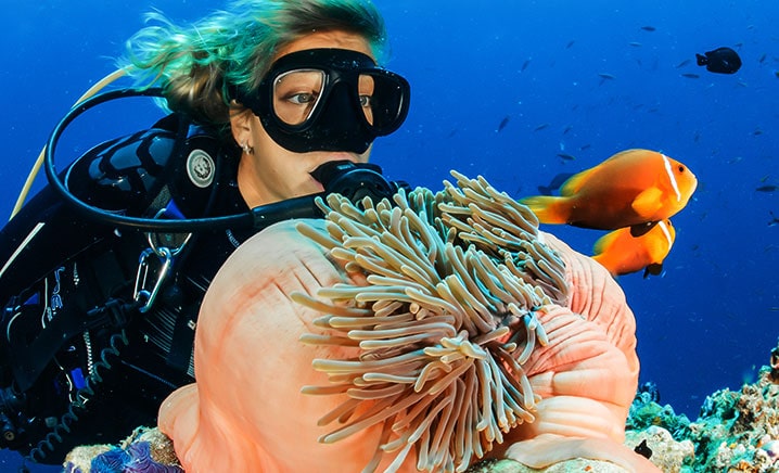 Kelptree_Thumbnail